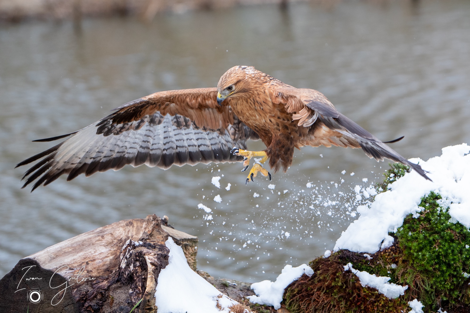 01 april 2022 115946 1DX47245